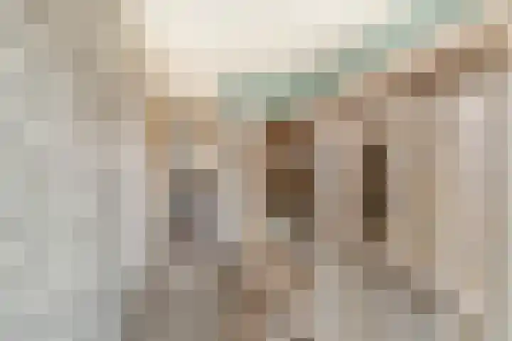 Kruiszwin 2111 Julianadorp thumbnail 29