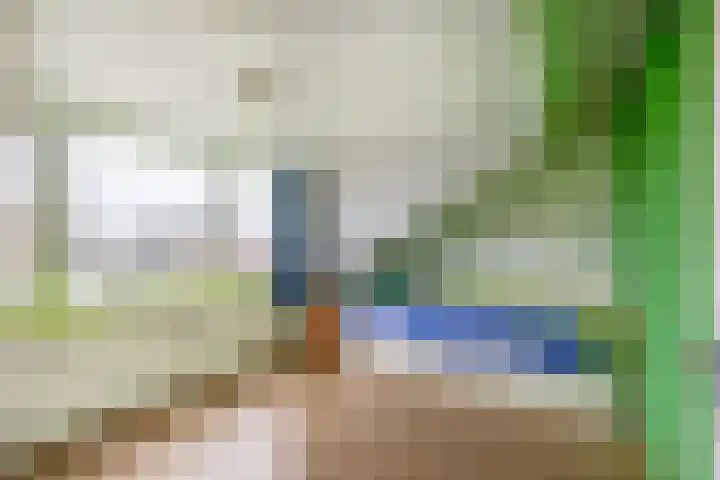 Kruiszwin 2111 Julianadorp thumbnail 31