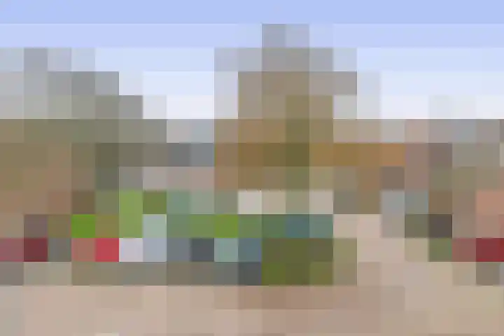 Kruiszwin 2111 Julianadorp thumbnail 33
