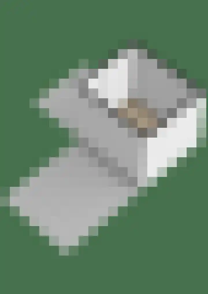 Kruiszwin 2111 Julianadorp thumbnail 42