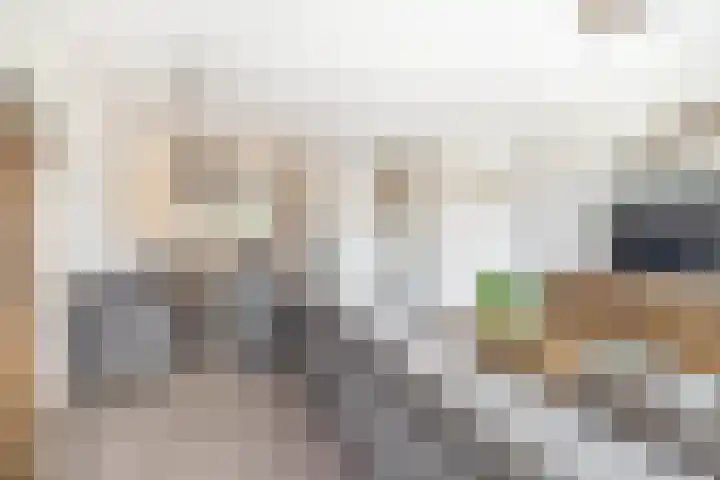 Kruiszwin 2111 Julianadorp thumbnail 8