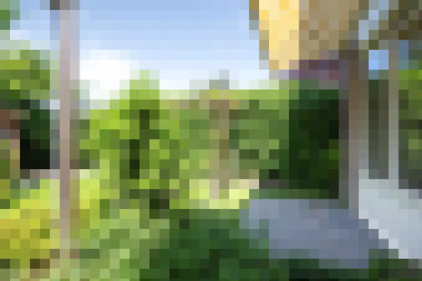 Kruiszwin 2113 Julianadorp thumbnail 18