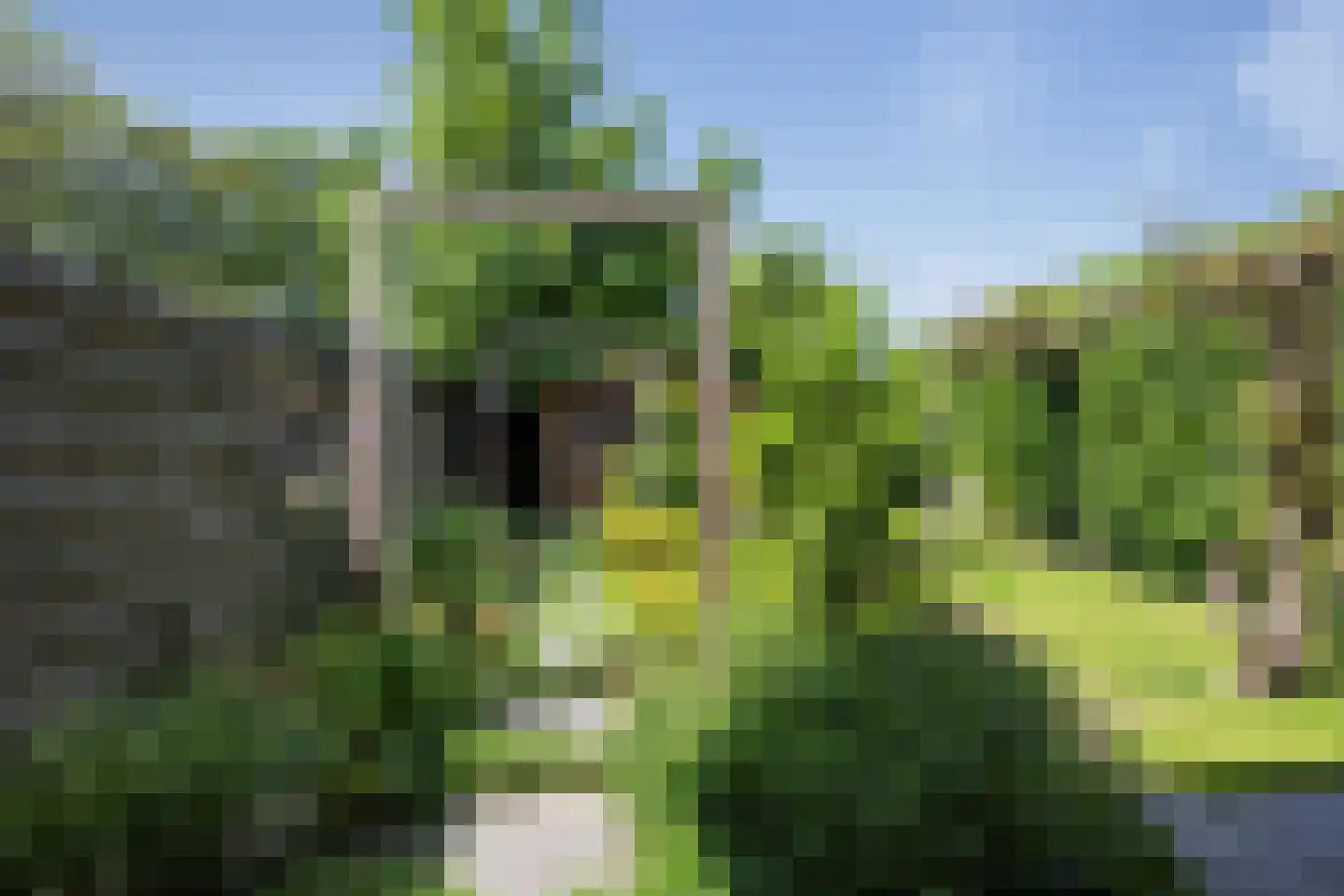 Kruiszwin 2113 Julianadorp thumbnail 19