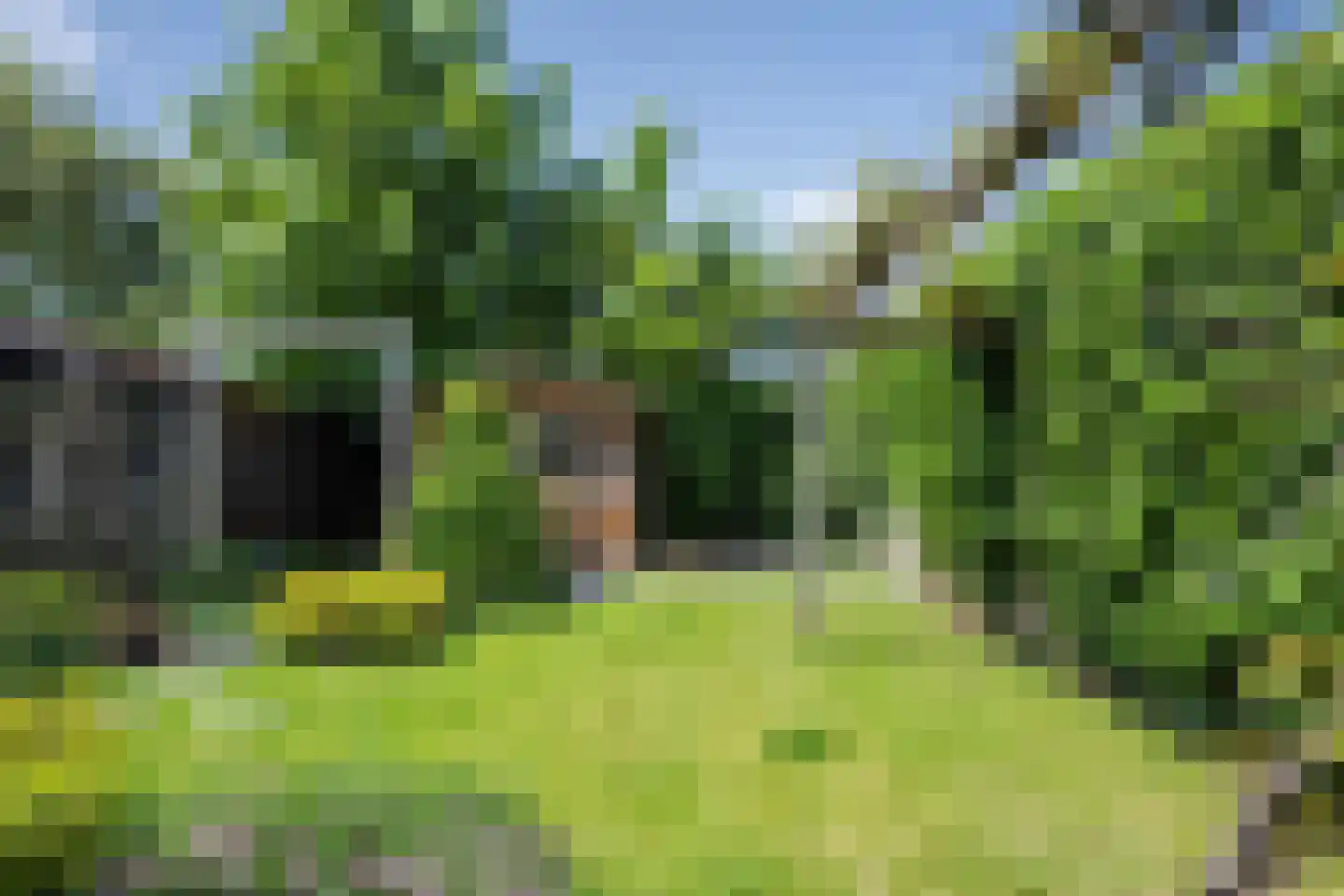 Kruiszwin 2113 Julianadorp thumbnail 20