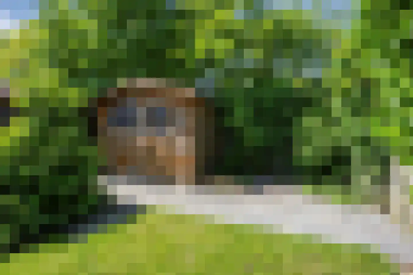 Kruiszwin 2113 Julianadorp thumbnail 22
