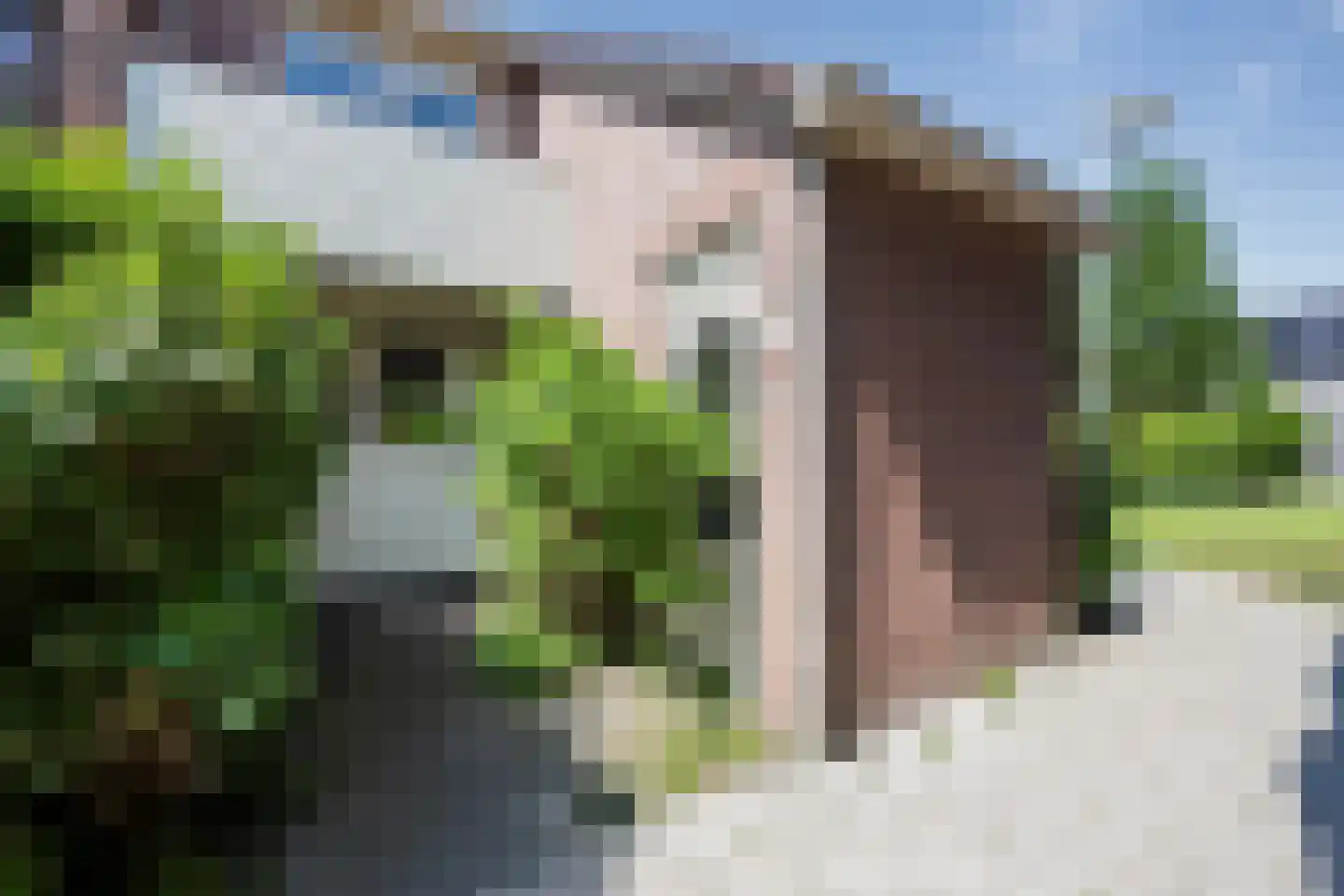 Kruiszwin 2113 Julianadorp thumbnail 5