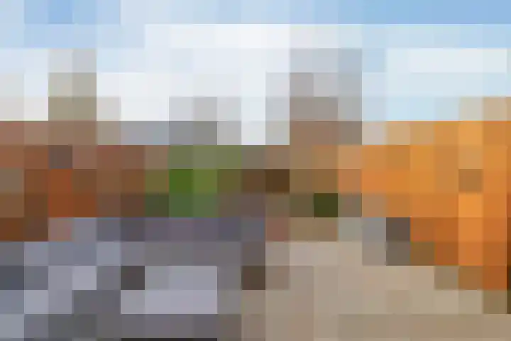 Kruiszwin 2204 Julianadorp thumbnail 11