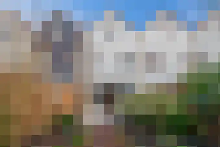 Kruiszwin 2204 Julianadorp thumbnail 12