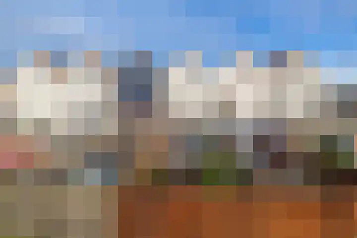 Kruiszwin 2204 Julianadorp thumbnail 13