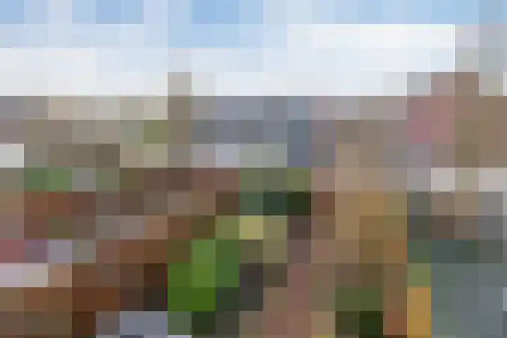 Kruiszwin 2204 Julianadorp thumbnail 16