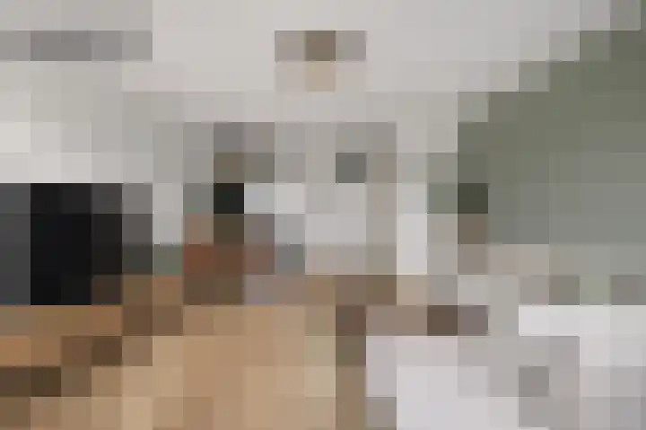 Kruiszwin 2204 Julianadorp thumbnail 6