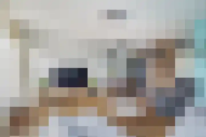 Kruiszwin 2204 Julianadorp thumbnail 7
