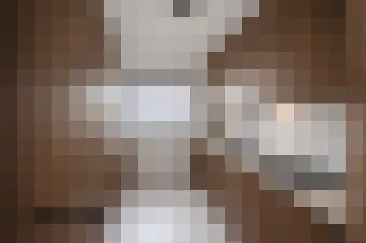 Kruiszwin 2204 Julianadorp thumbnail 9
