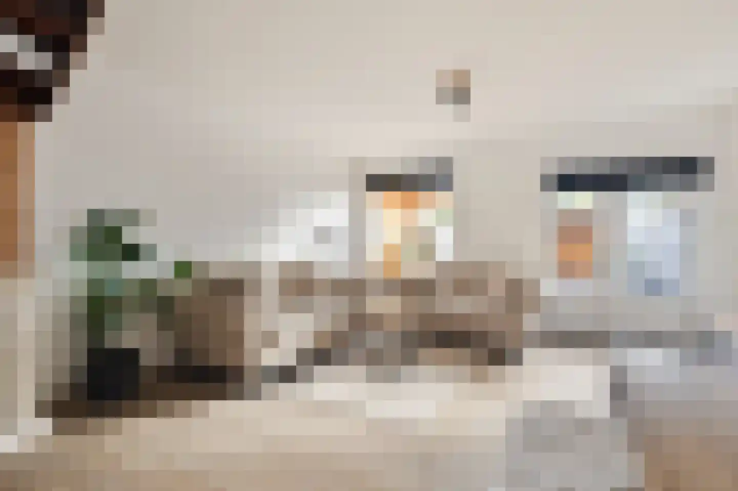 Kruiszwin 2241 Julianadorp thumbnail 12