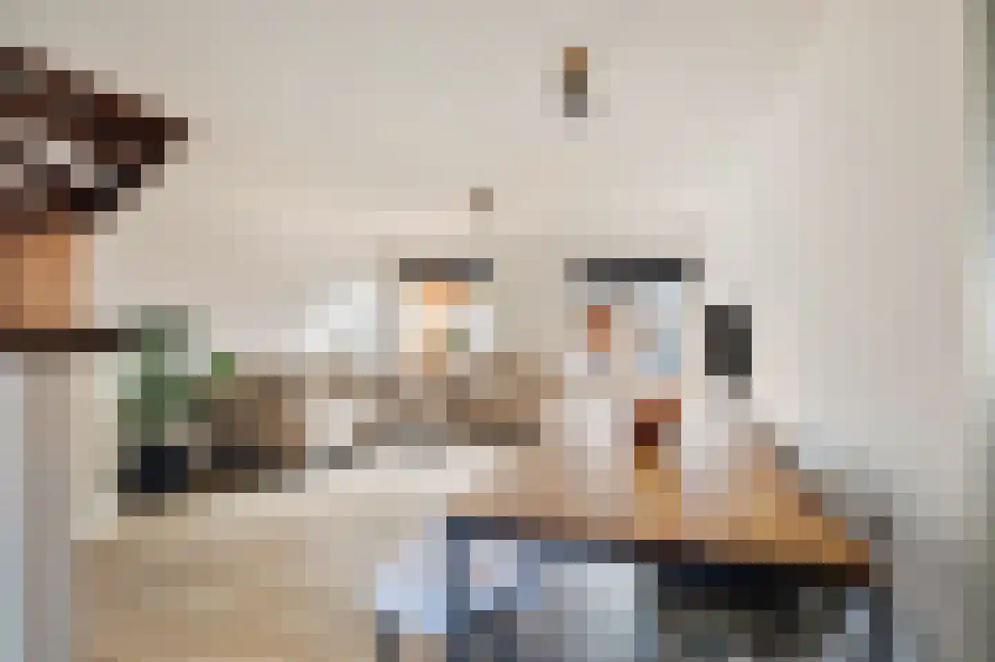 Kruiszwin 2241 Julianadorp thumbnail 17