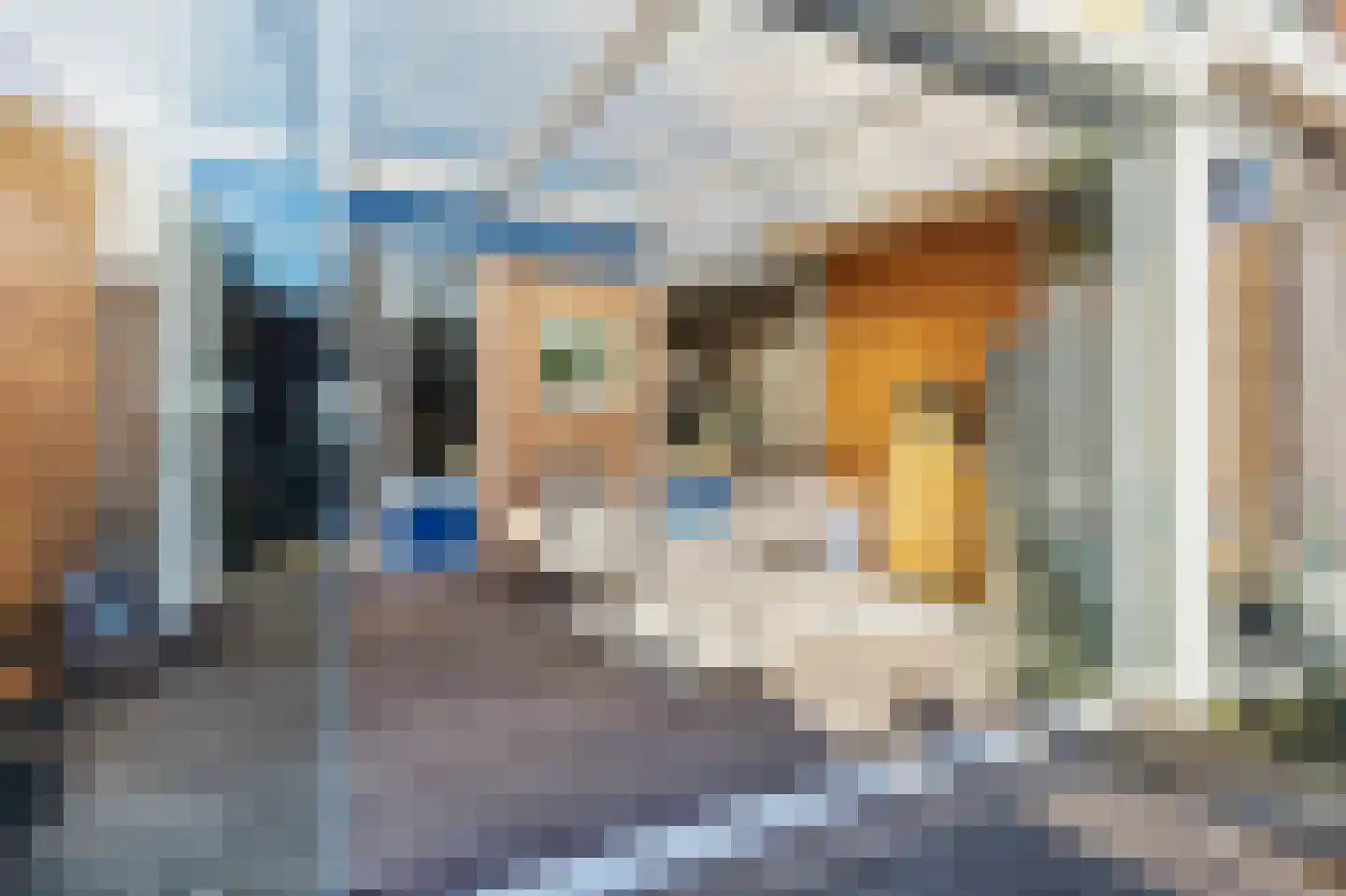 Kruiszwin 2241 Julianadorp thumbnail 4