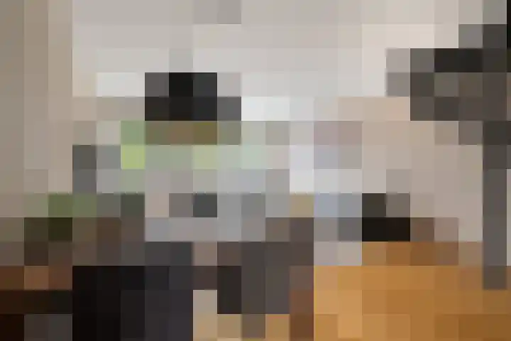 Kruiszwin 2265 Julianadorp thumbnail 11