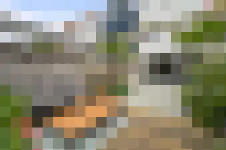 Kruiszwin 2265 Julianadorp thumbnail 14