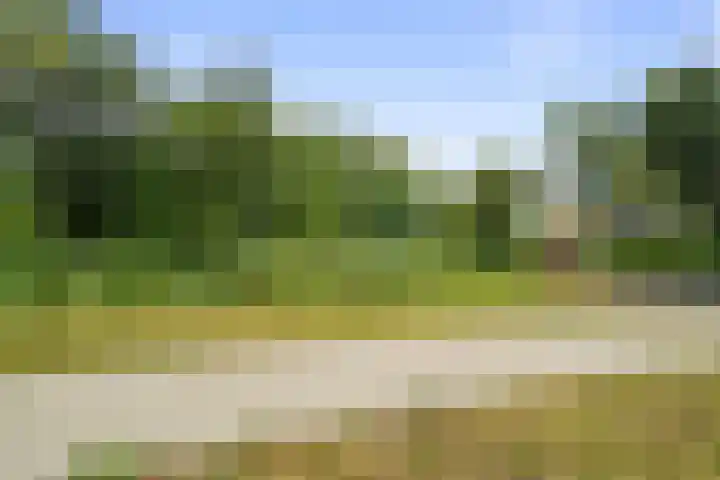 Kruiszwin 2265 Julianadorp thumbnail 16
