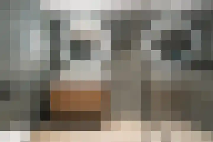 Kruiszwin 2265 Julianadorp thumbnail 19