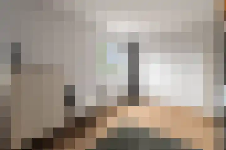 Kruiszwin 2265 Julianadorp thumbnail 23