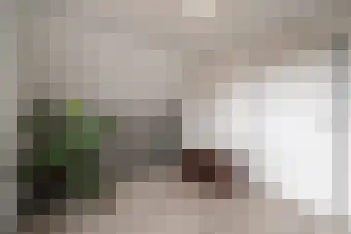 Kruiszwin 2265 Julianadorp thumbnail 26