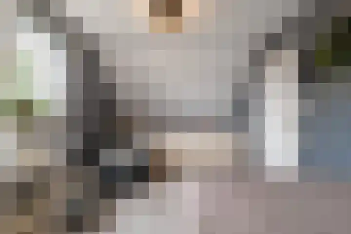 Kruiszwin 2265 Julianadorp thumbnail 27