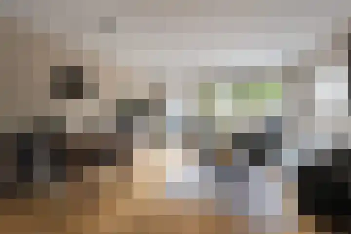 Kruiszwin 2265 Julianadorp thumbnail 5