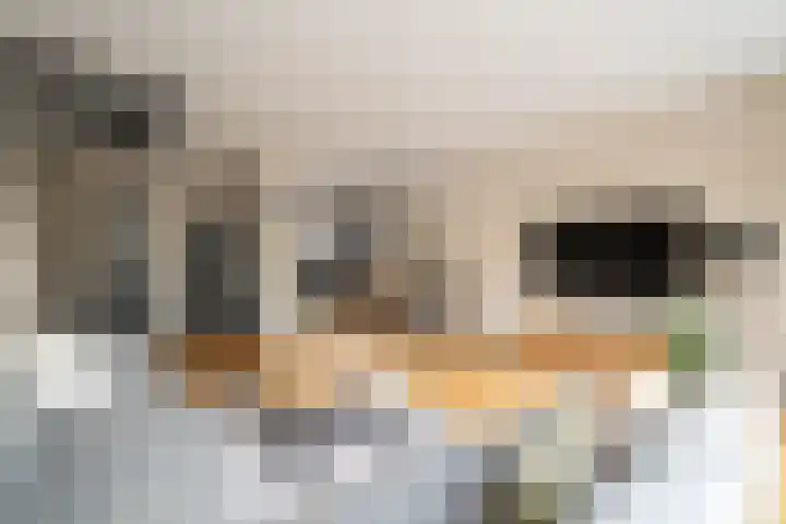 Kruiszwin 2265 Julianadorp thumbnail 6