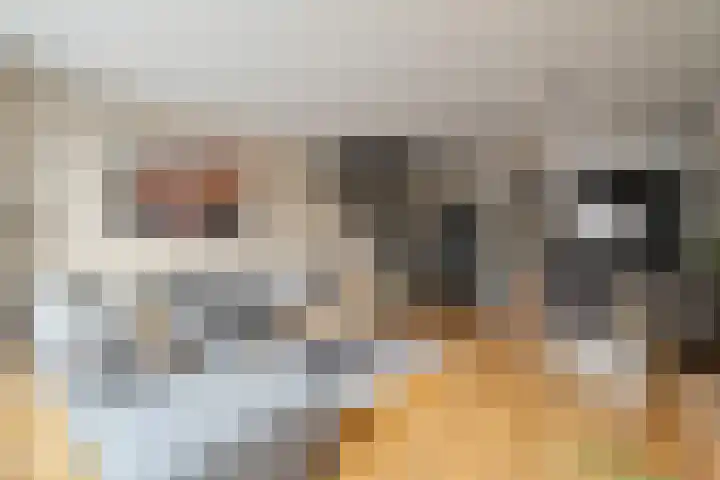 Kruiszwin 2265 Julianadorp thumbnail 7