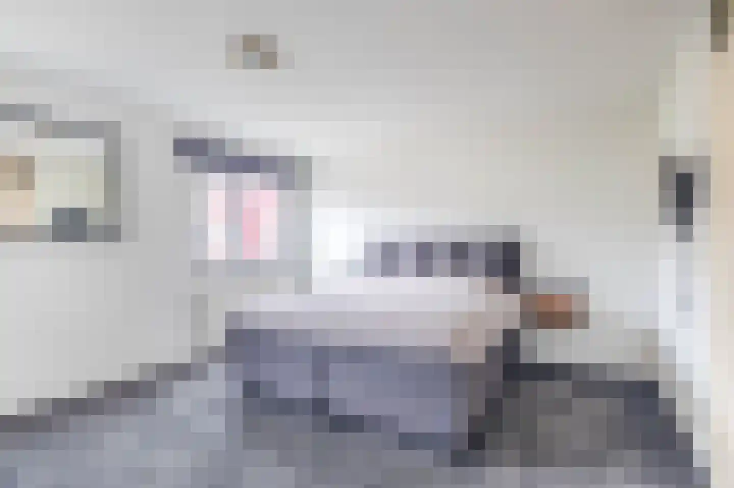 Kruiszwin 2270 Julianadorp thumbnail 10