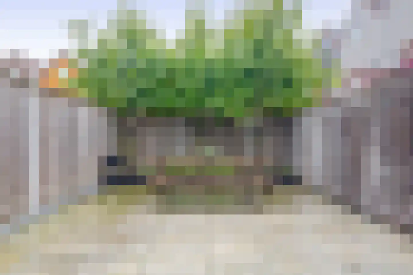Kruiszwin 2270 Julianadorp thumbnail 7