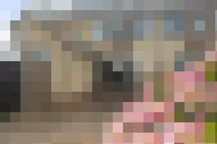 Kruiszwin 2317 Julianadorp thumbnail 12