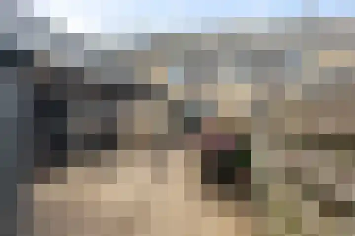 Kruiszwin 2317 Julianadorp thumbnail 13