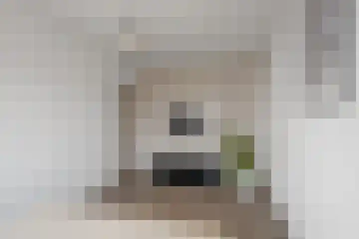 Kruiszwin 2317 Julianadorp thumbnail 17