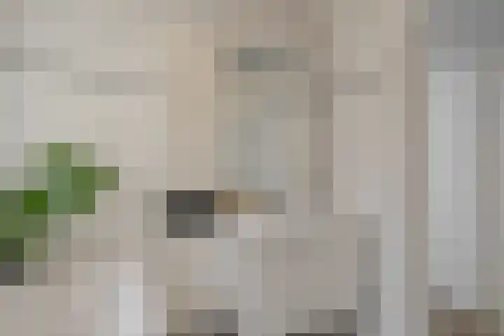 Kruiszwin 2317 Julianadorp thumbnail 24