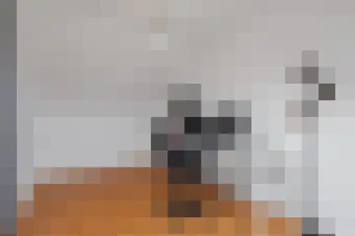 Kruiszwin 2317 Julianadorp thumbnail 28