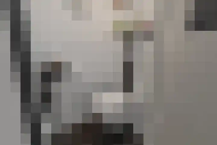 Kruiszwin 2317 Julianadorp thumbnail 4