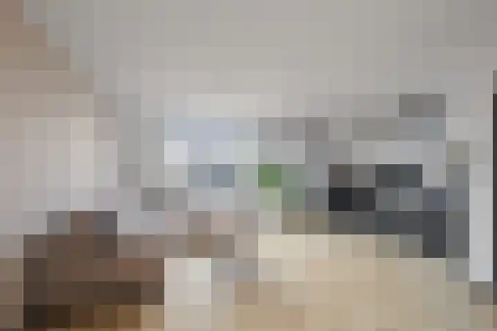 Kruiszwin 2317 Julianadorp thumbnail 5