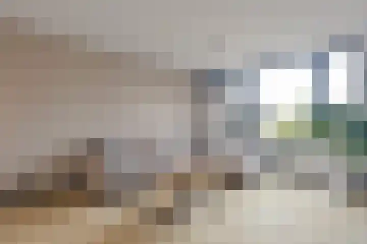 Kruiszwin 2317 Julianadorp thumbnail 6
