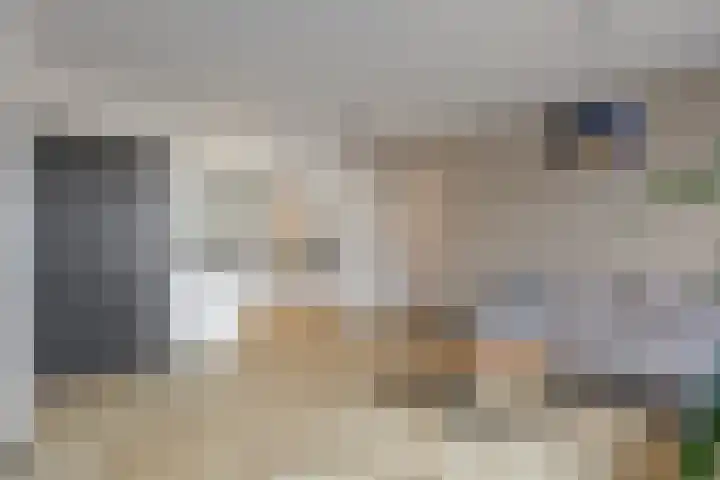 Kruiszwin 2317 Julianadorp thumbnail 7