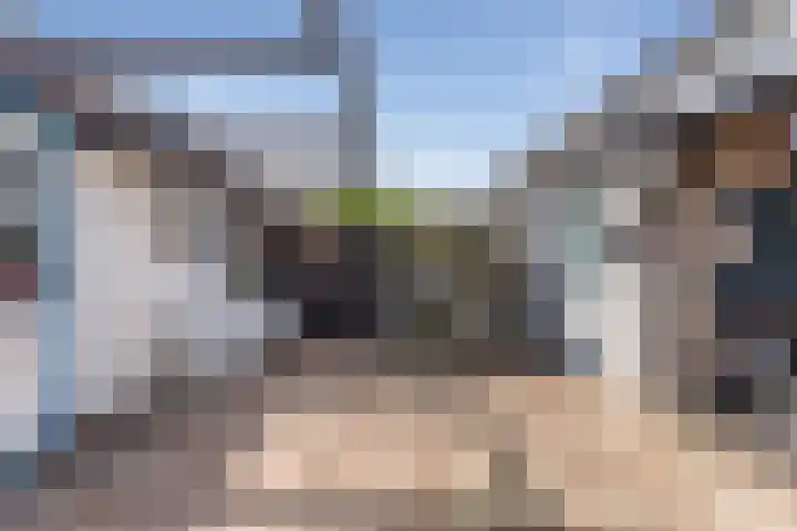 Kruiszwin 2330 Julianadorp thumbnail 20
