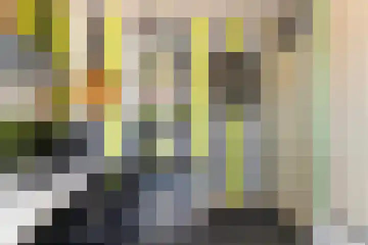 Kruiszwin 2330 Julianadorp thumbnail 28