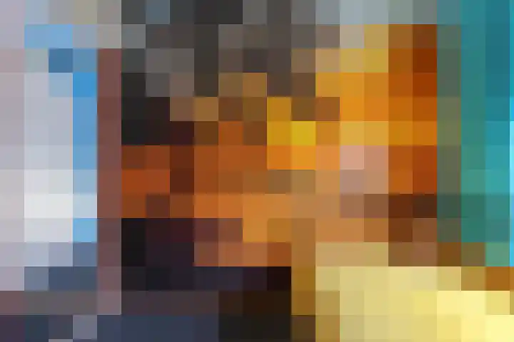 Kruiszwin 2330 Julianadorp thumbnail 30