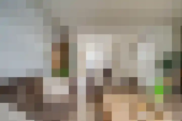 Kruiszwin 2331 Julianadorp thumbnail 12