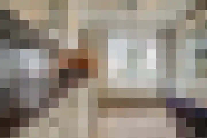 Kruiszwin 2331 Julianadorp thumbnail 19
