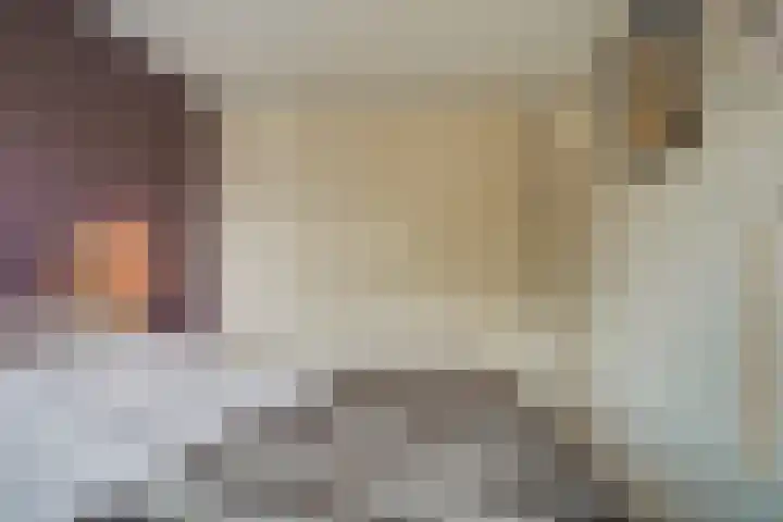 Kruiszwin 2331 Julianadorp thumbnail 24