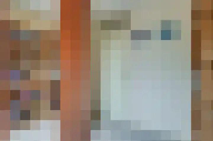 Kruiszwin 2331 Julianadorp thumbnail 26