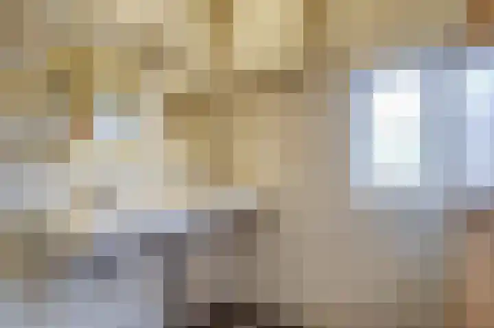 Kruiszwin 2331 Julianadorp thumbnail 29