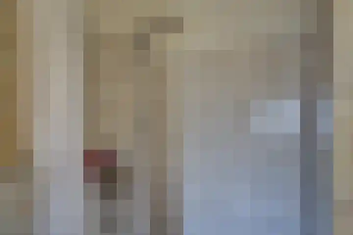 Kruiszwin 2331 Julianadorp thumbnail 31